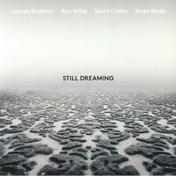 STILL DREAMING (FEAT. RON MILES, SCOTT COLLEY & BRIAN BLADE) CD