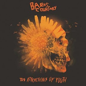 THE ATTRACTIONS OF YOUTH CD