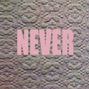 NEVER (LP)