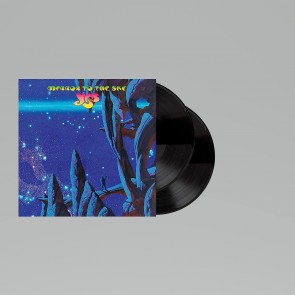 MIRROR TO THE SKY 2LP