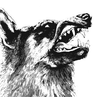 I, VIGILANTE -DIGI-