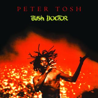 BUSH DOCTOR LP