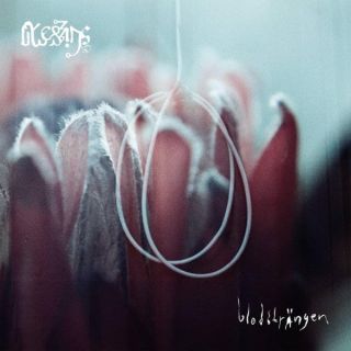 BLODSTRANGEN CD