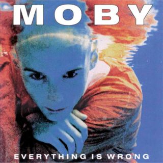 EVERYTHING IS WRONG 2CD