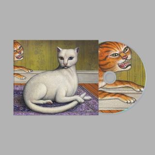 NOTHING'S ABOUT TO HAPPEN TO ME CD