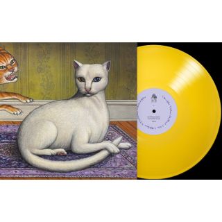 NOTHING'S ABOUT TO HAPPEN TO ME LP COLOUR