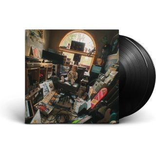 VINYL DAYS 2LP