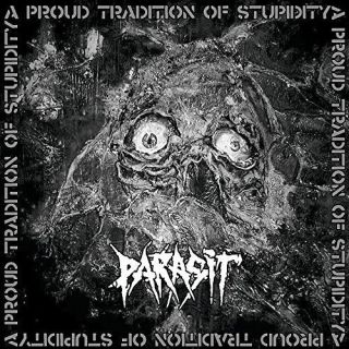 A PROUD TRADITION OF STUPIDITY (LTD.VINYL)