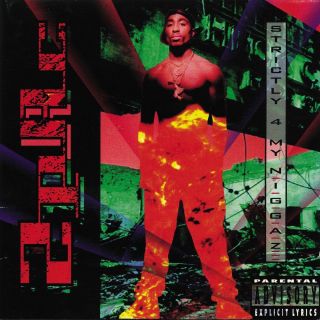 STRICTLY 4 MY N.I.G.G.A.Z. 2LP