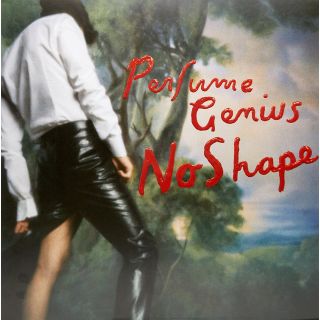 NO SHAPE (2LP)