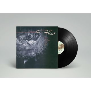 TREASURE (RE ISSUE) (LP)