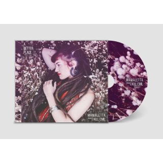 A BETTER PLACE LP