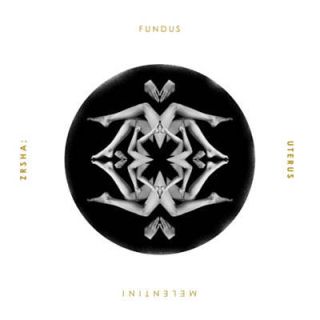 ZRSHA FUNDUS UTERUS CD