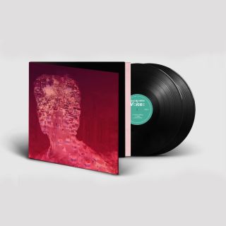 VOICES 2LP