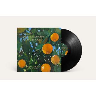 VIOLET BENT BACKWARDS OVER LP