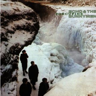 PORCUPINE (LP)