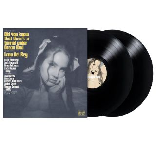 DID YOU KNOW THAT THERE'S A TUNNEL UNDER OCEAN BLVD (2LP)