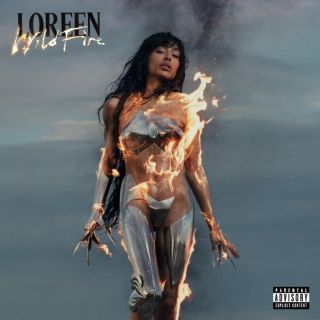 WILDFIRE CD