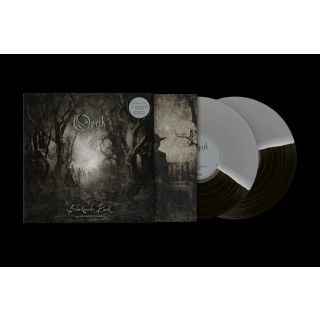 BLACKWATER PARK (25TH ANNIVERSARY 2LP)