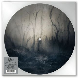 BLACKWATER PARK (25TH ANNIVERSARY 2 LP PICTURE D)
