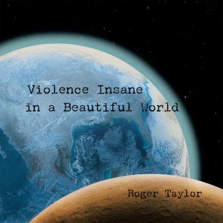 VIOLENCE INSANE IN A BEAUTIFUL WORLD CD