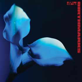 BIRTHMARKS CD