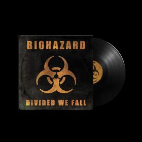DIVIDED WE FALL LP