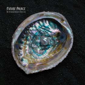 RESURGENCE CD